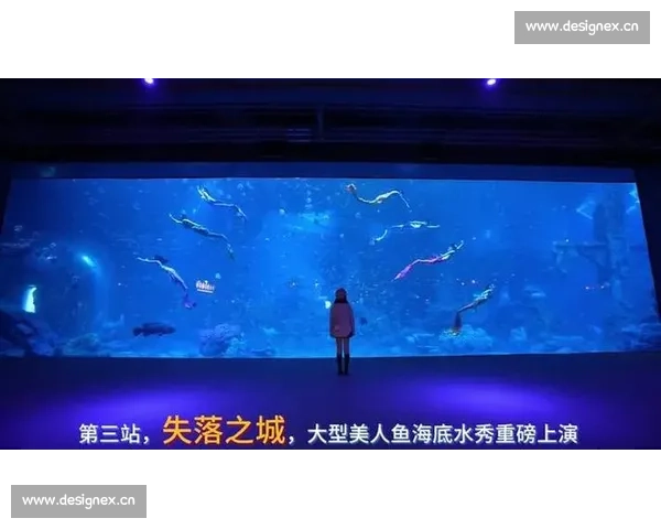 0 基础主播亲历!舟山长乔海洋公园秒变 “美人鱼” 的奇幻之旅 0 基础主播亲历!舟山长乔海洋公园秒变 “美人鱼” 的奇幻之旅