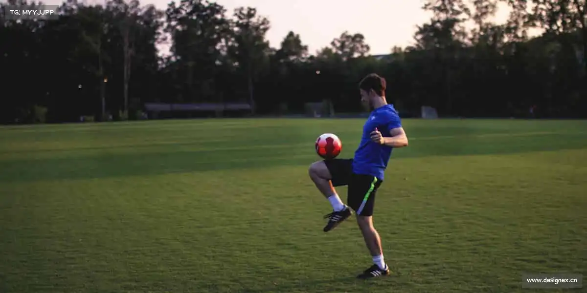 行业领先的理由